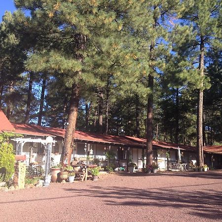 Mountain Haven Inn Pinetop-Lakeside Εξωτερικό φωτογραφία