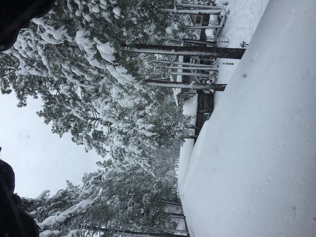 Mountain Haven Inn Pinetop-Lakeside Δωμάτιο φωτογραφία