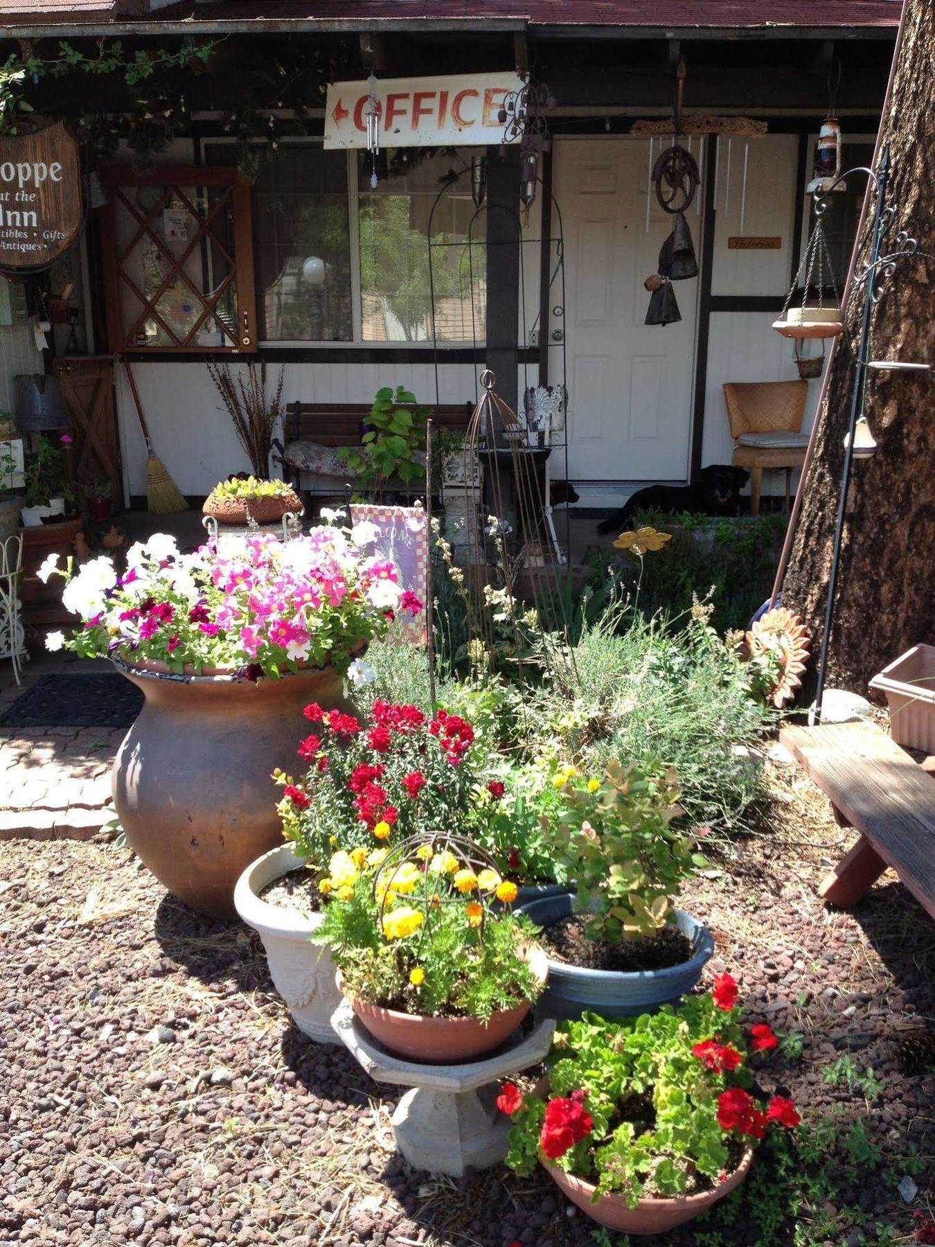 Mountain Haven Inn Pinetop-Lakeside Εξωτερικό φωτογραφία